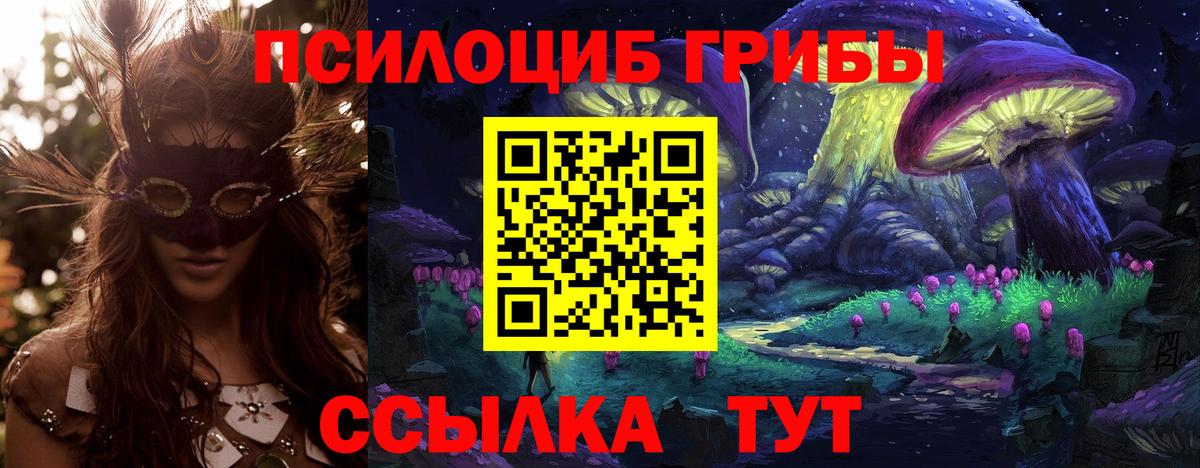 Галлюциногенные грибы Psilocybine cubensis  Вход с VPN  Нурлат 